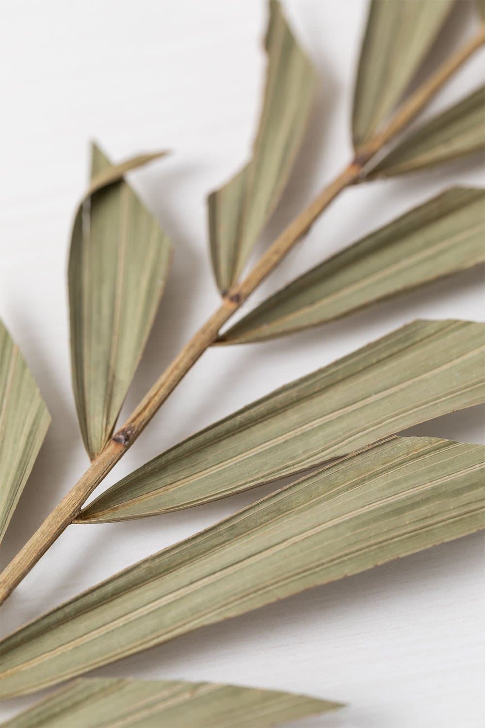 Pak van 10 Sarat Decoratieve Droge Takken, galerij beeld 3