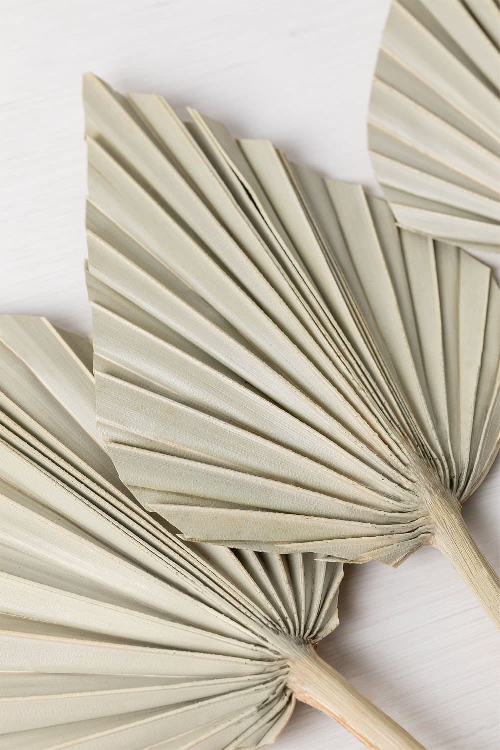 Set van 6 Gelovige Gedroogde Decoratieve Takken, galerij beeld 3