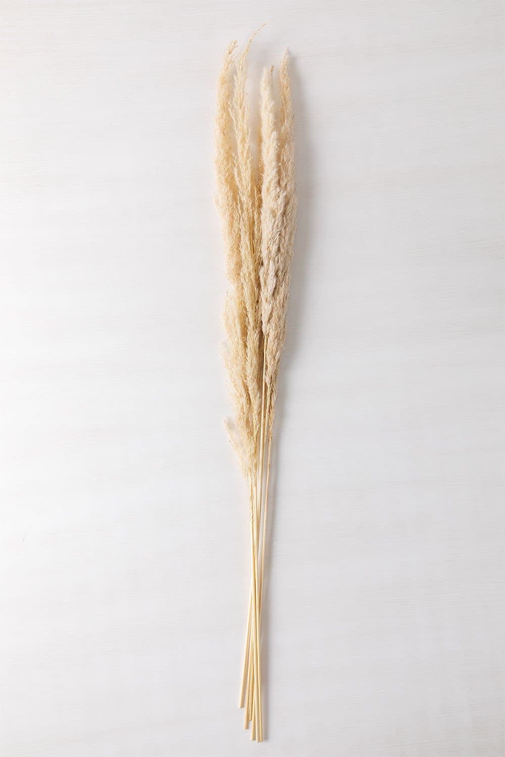 Verpakking van 6 decoratieve gedroogde takken Megana , galerij beeld 3