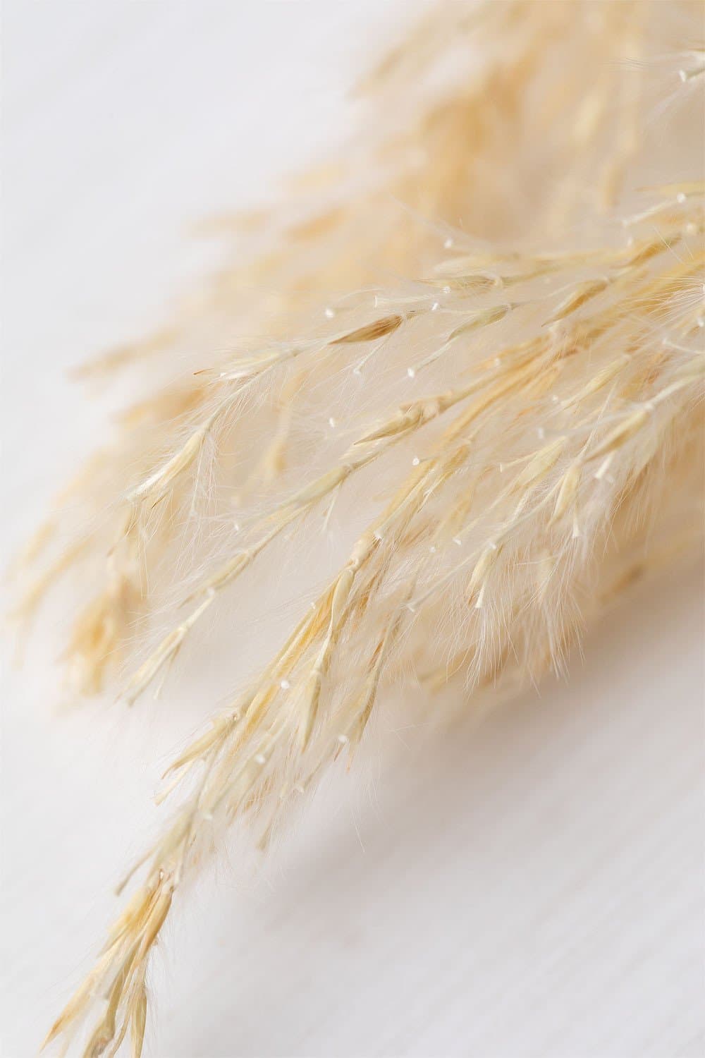 Verpakking van 6 decoratieve gedroogde takken Megana , galerij beeld 4