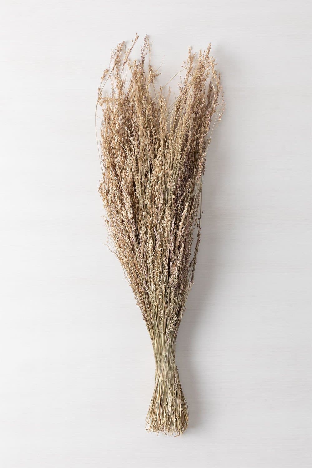 Ainala decoratieve tak , galerij beeld 3