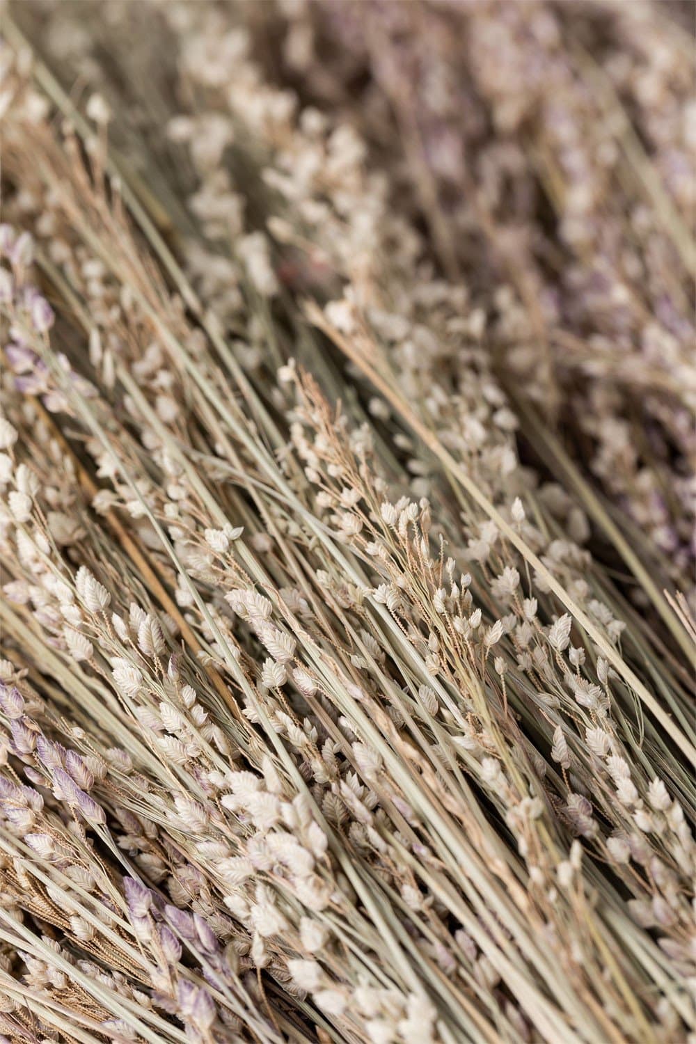 Ainala decoratieve tak , galerij beeld 4