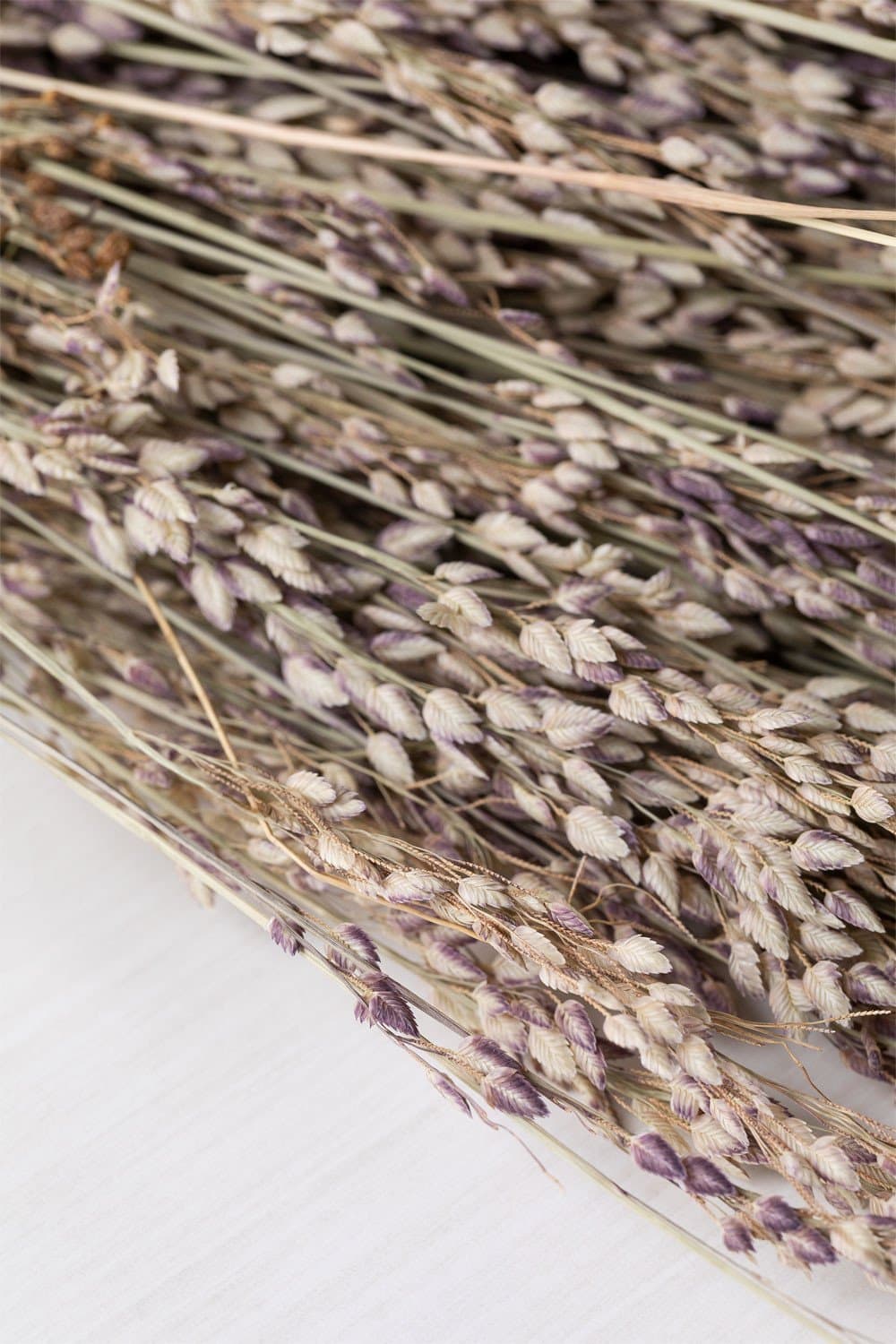 Ainala decoratieve tak , galerij beeld 5