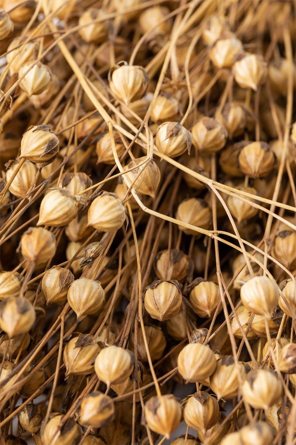 Bairad Decoratief Gedroogde Bloemenboeket , galerij beeld 5