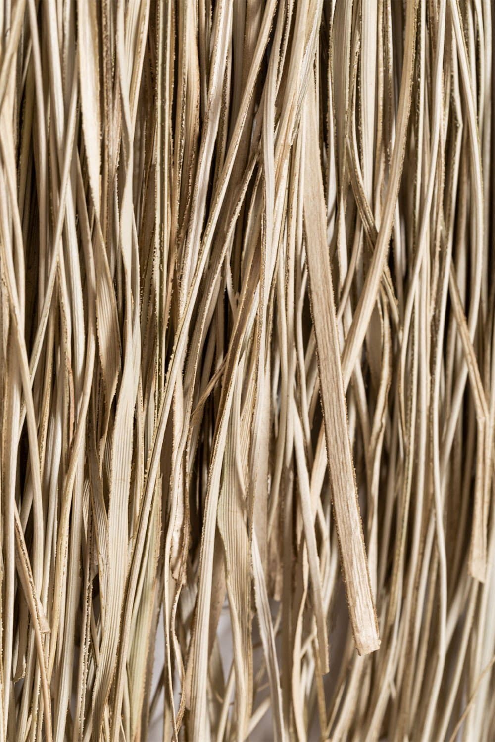 Wanddecoratie Cesugo , galerij beeld 6