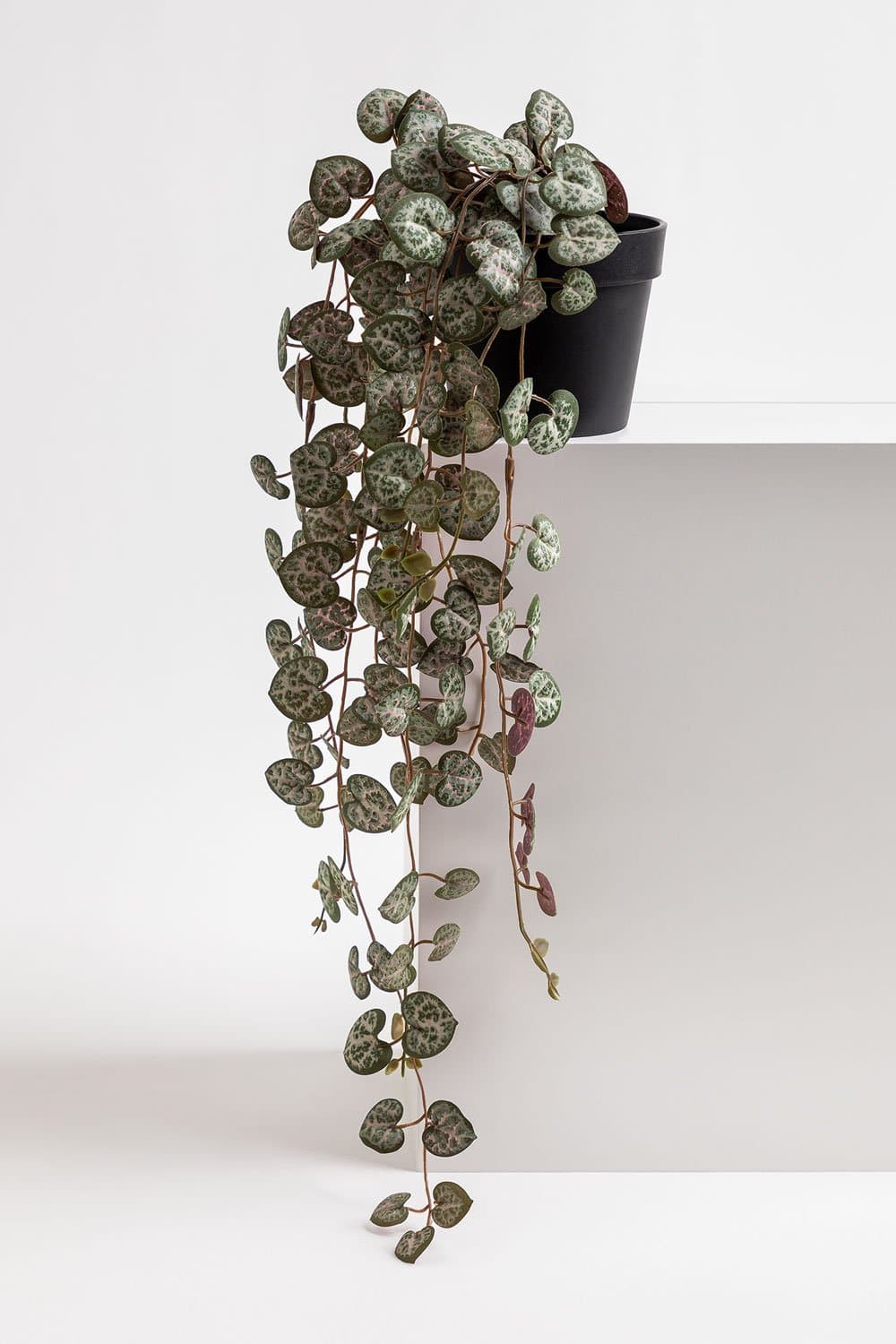 Ceropegia Decoratieve kunsthangplant, galerij beeld 2
