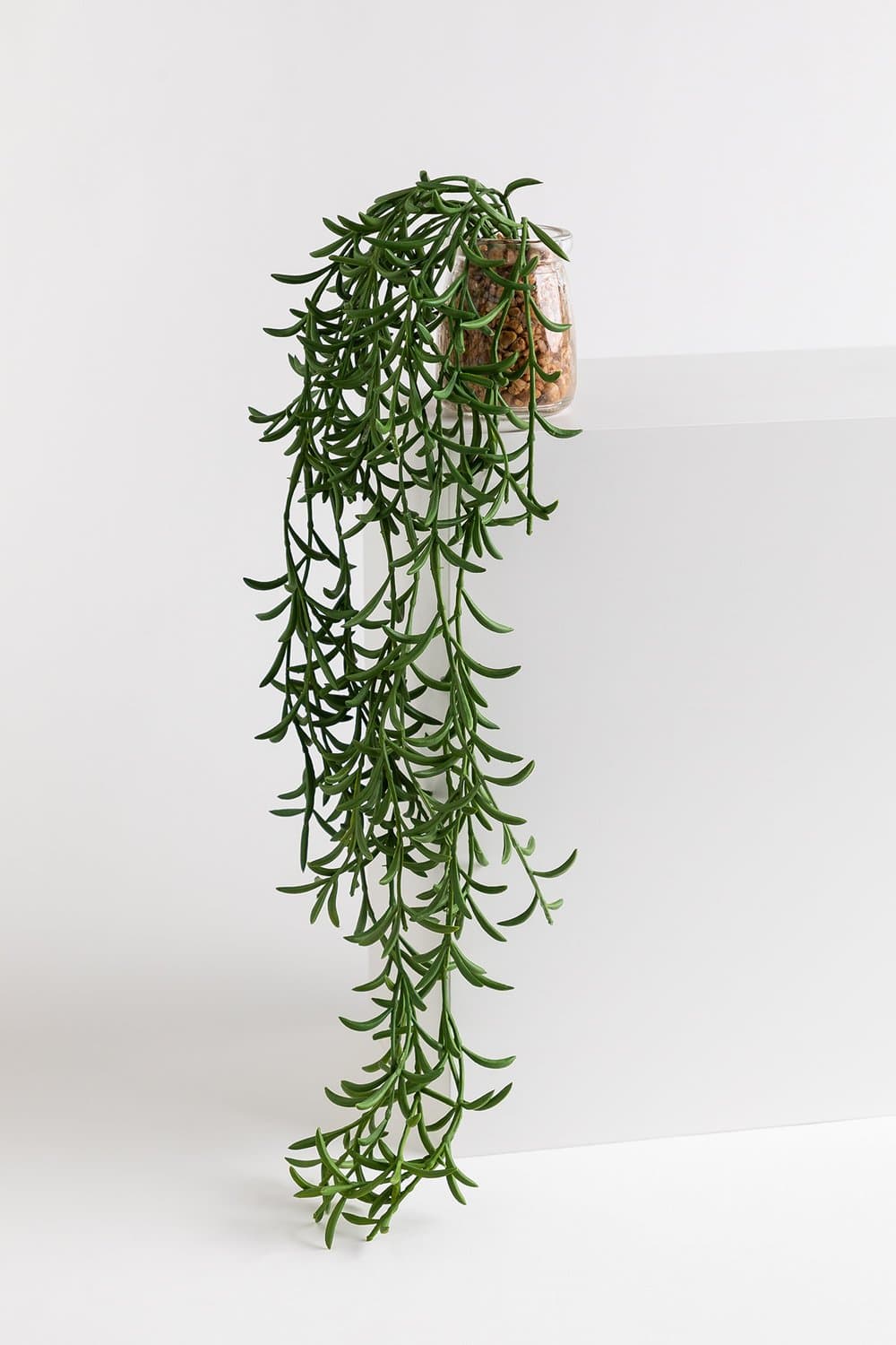 Decoratieve kunsthangplant Senecio Radicans, galerij beeld 1