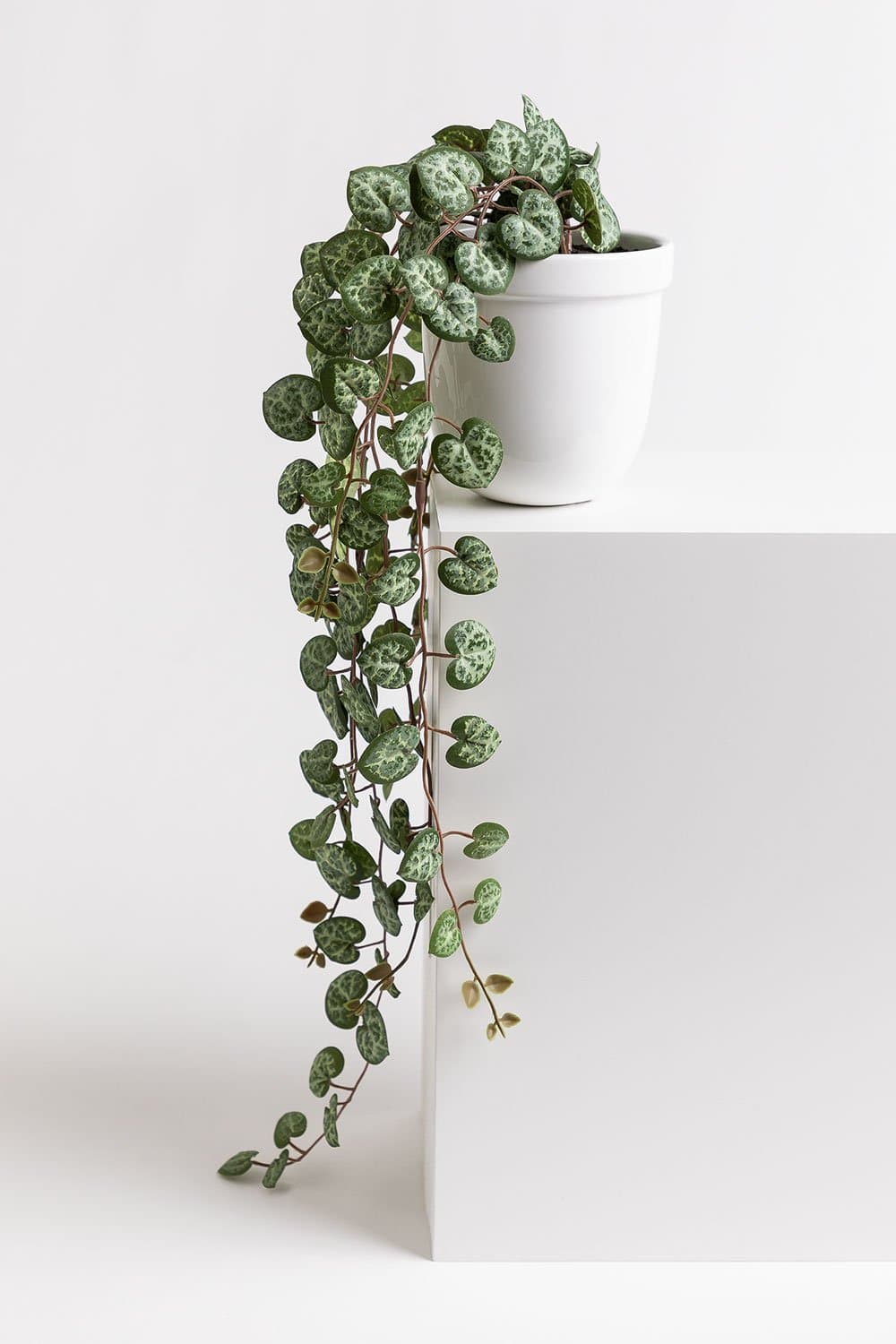 Decoratieve kunstmatige hangende plant harten ketting, galerij beeld 2