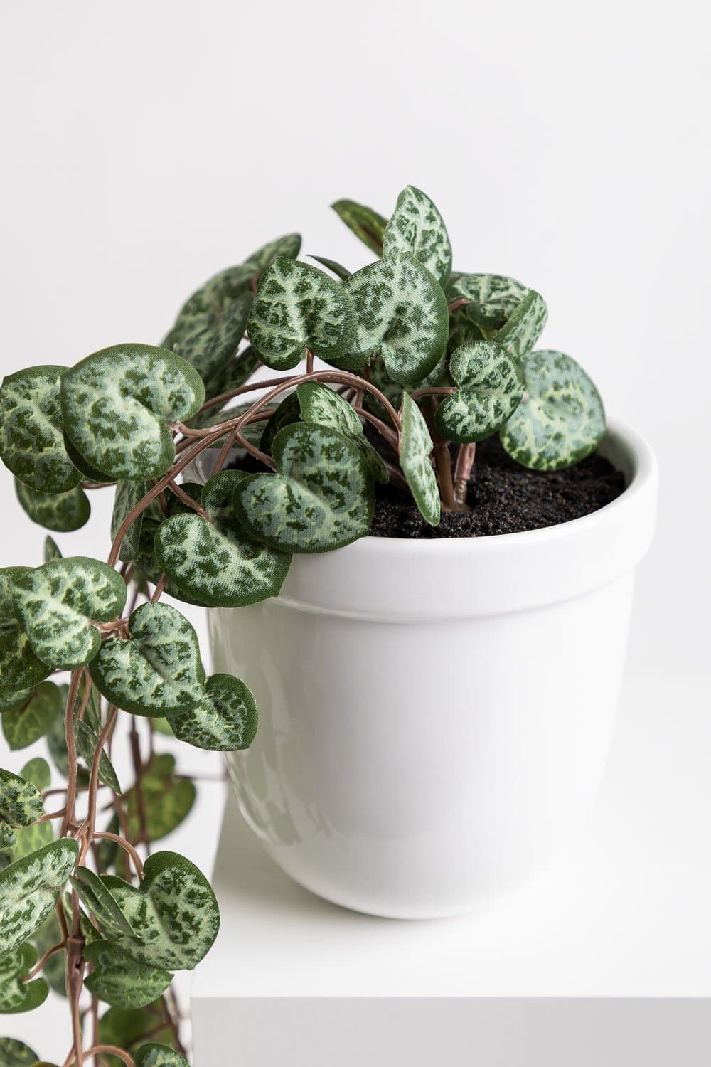 Decoratieve kunstmatige hangende plant harten ketting, galerij beeld 3