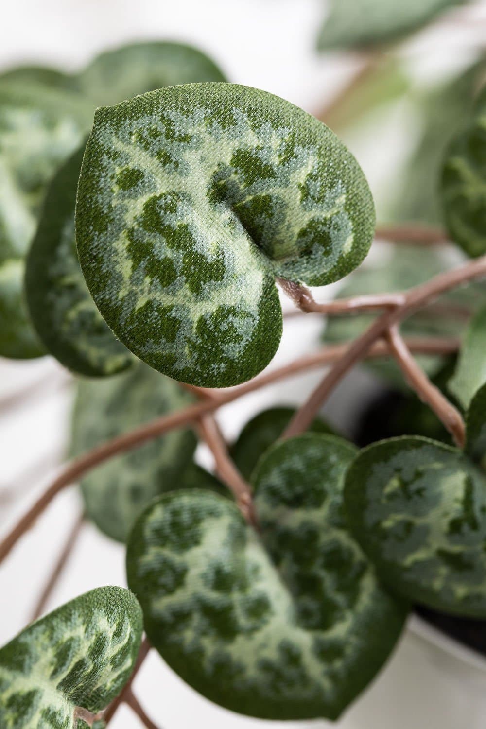 Decoratieve kunstmatige hangende plant harten ketting, galerij beeld 4