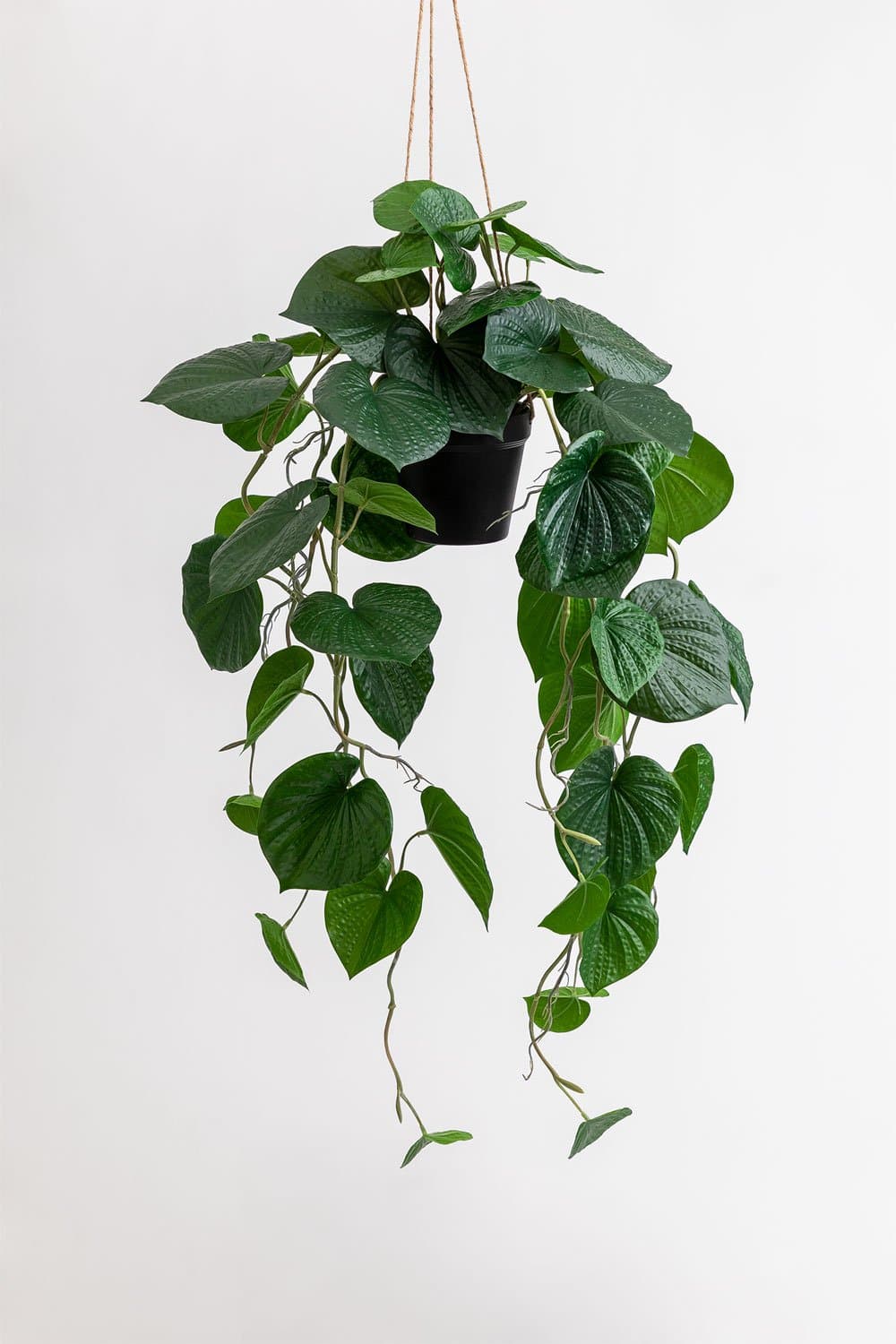 Pothos Decoratieve kunsthangplant, galerij beeld 2