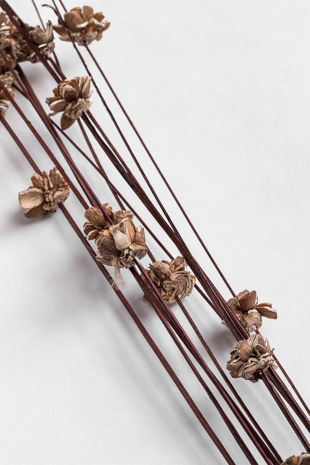 Pak van 10 gedroogde decoratieve takken Zinia, galerij beeld 4