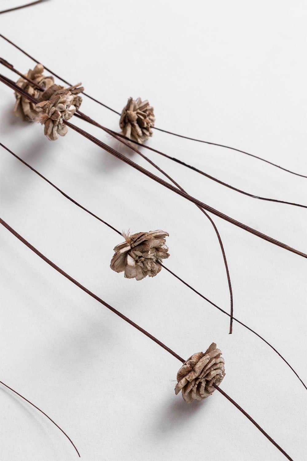 Pak van 10 gedroogde decoratieve takken Zinia, galerij beeld 5