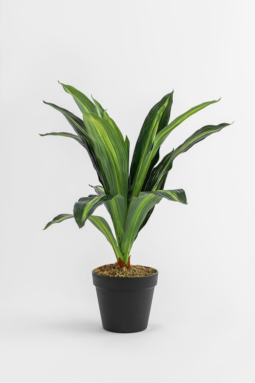 Decoratieve Kunstplant Dracaena 40 cm, galerij beeld 2