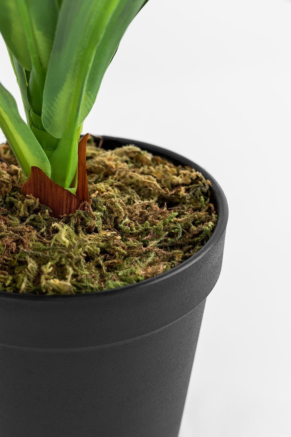 Decoratieve Kunstplant Dracaena 40 cm, galerij beeld 4