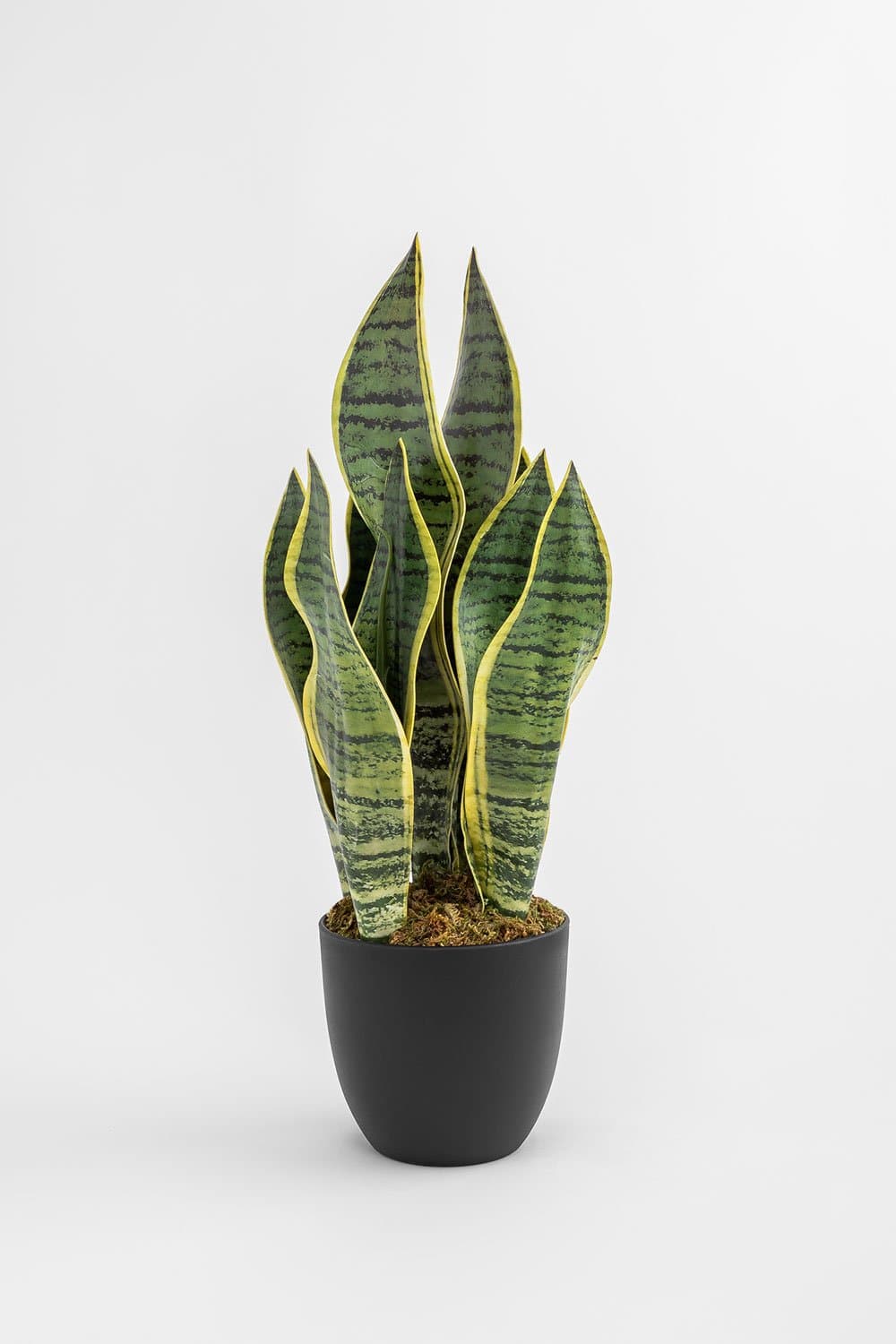 Decoratieve Kunstplant Sansevieria 40 cm, galerij beeld 2