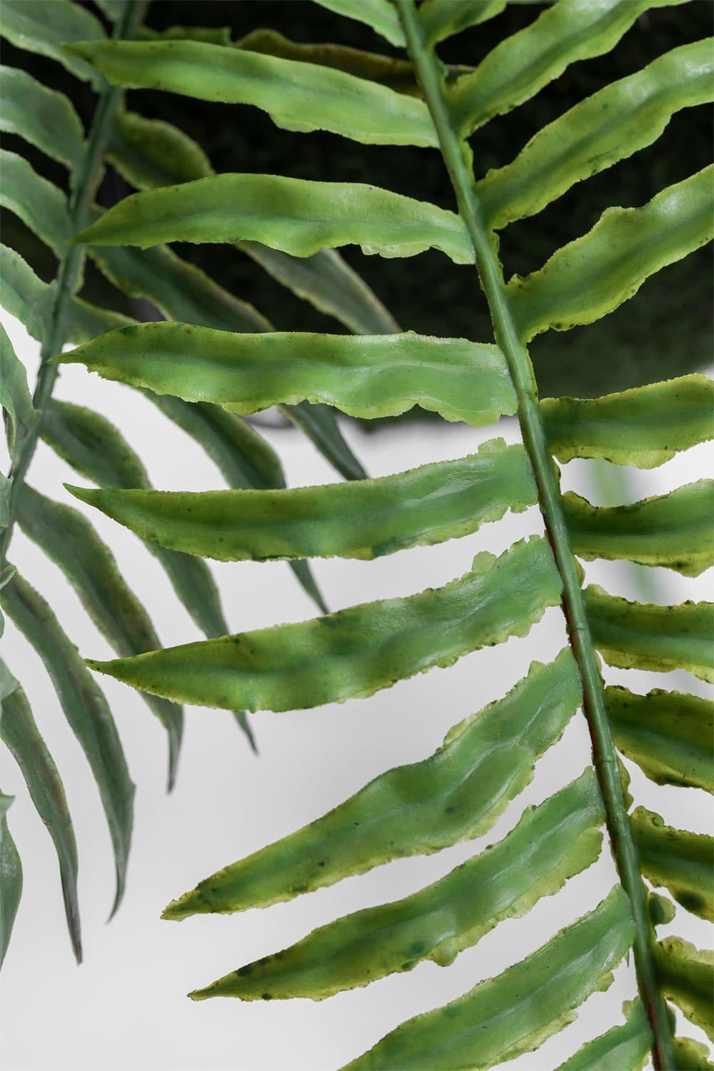 Fern Decoratieve kunsthangplant, galerij beeld 4