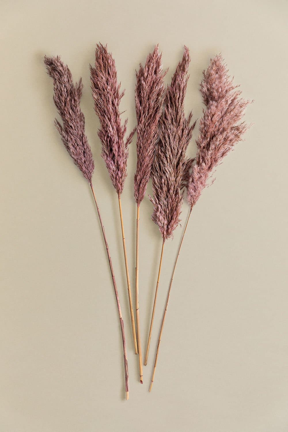 Verpakking van 5 Dagrai decoratieve droge takken , galerij beeld 4