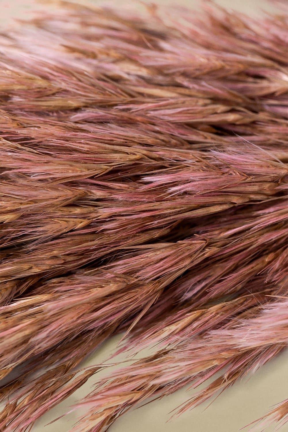 Verpakking van 5 Dagrai decoratieve droge takken , galerij beeld 5