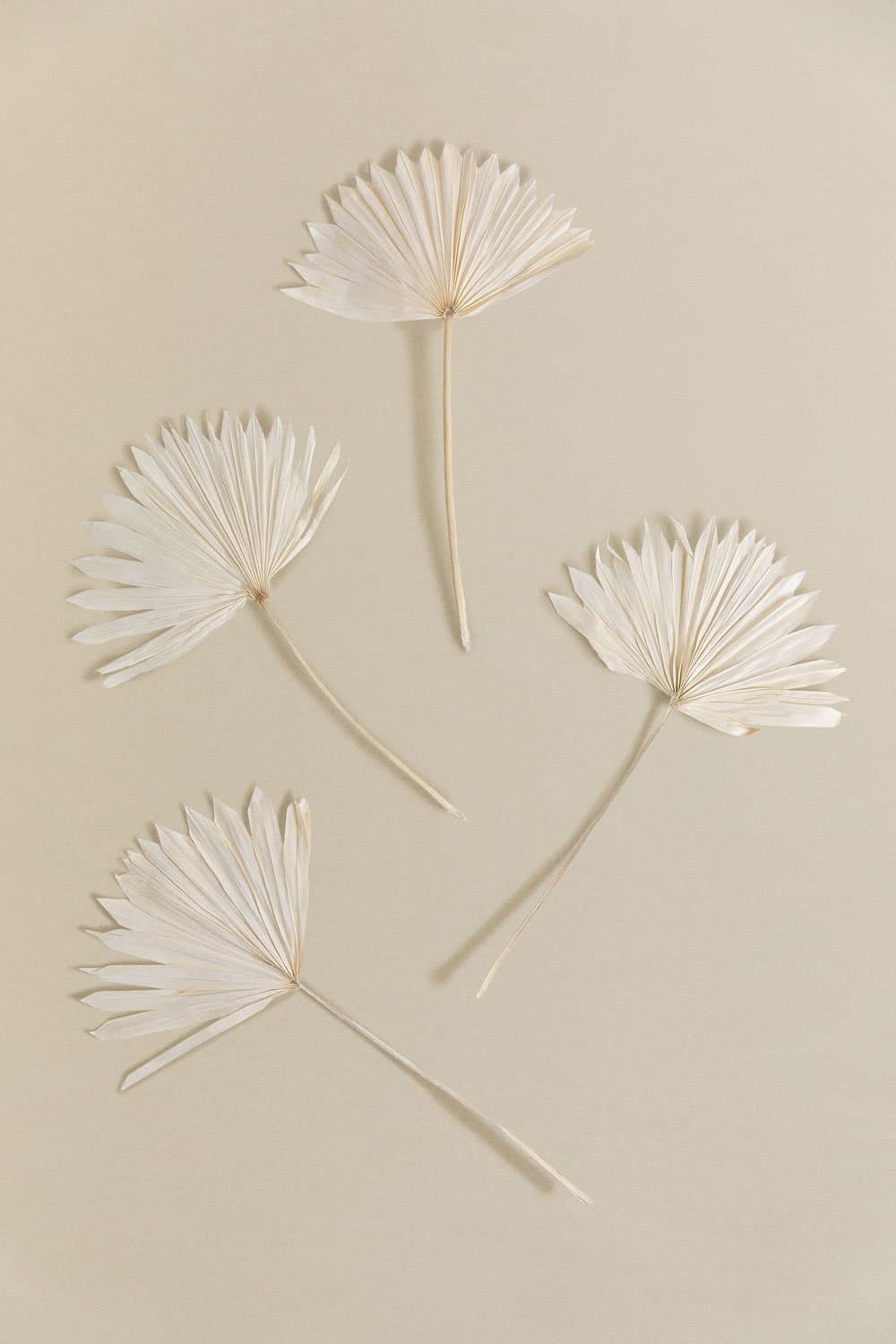 Verpakking van 4 Urpek decoratieve gedroogde takken , galerij beeld 3