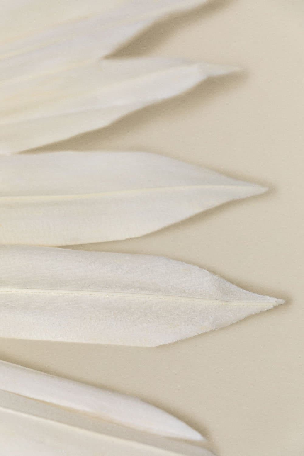 Verpakking van 4 Urpek decoratieve gedroogde takken , galerij beeld 4