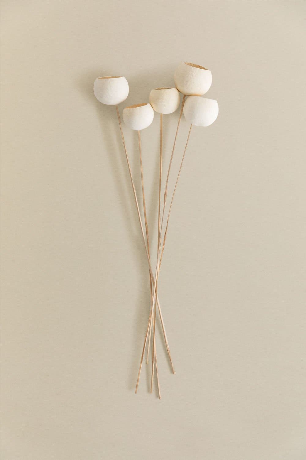 Verpakking van 5 Aegle decoratieve gedroogde takken , galerij beeld 3