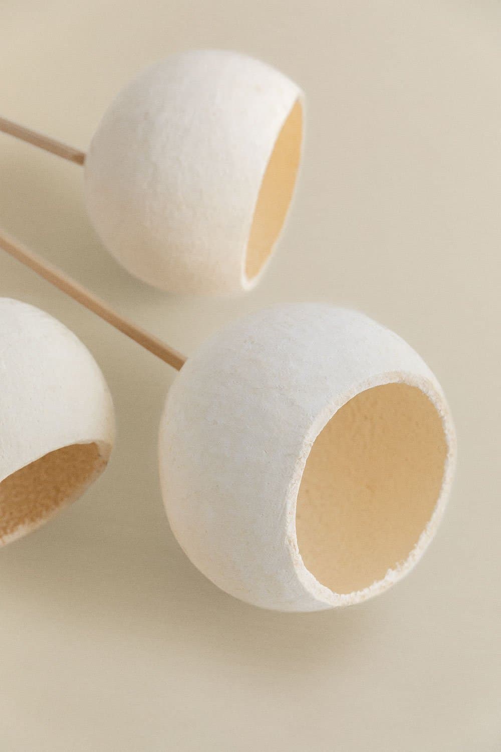 Verpakking van 5 Aegle decoratieve gedroogde takken , galerij beeld 4