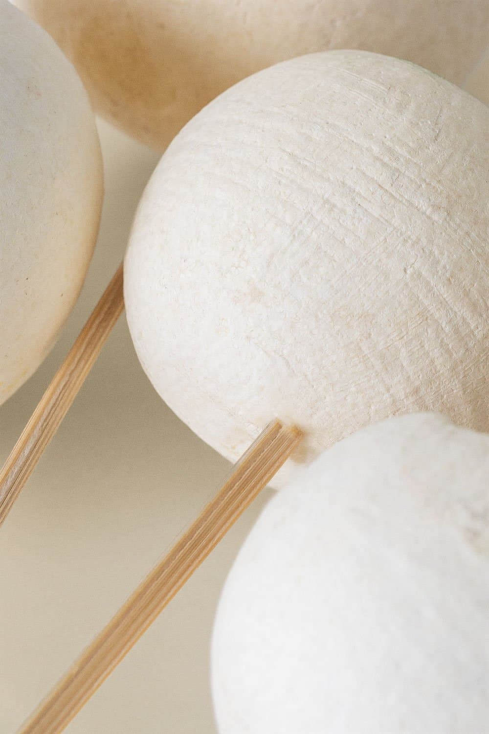 Verpakking van 5 Aegle decoratieve gedroogde takken , galerij beeld 5