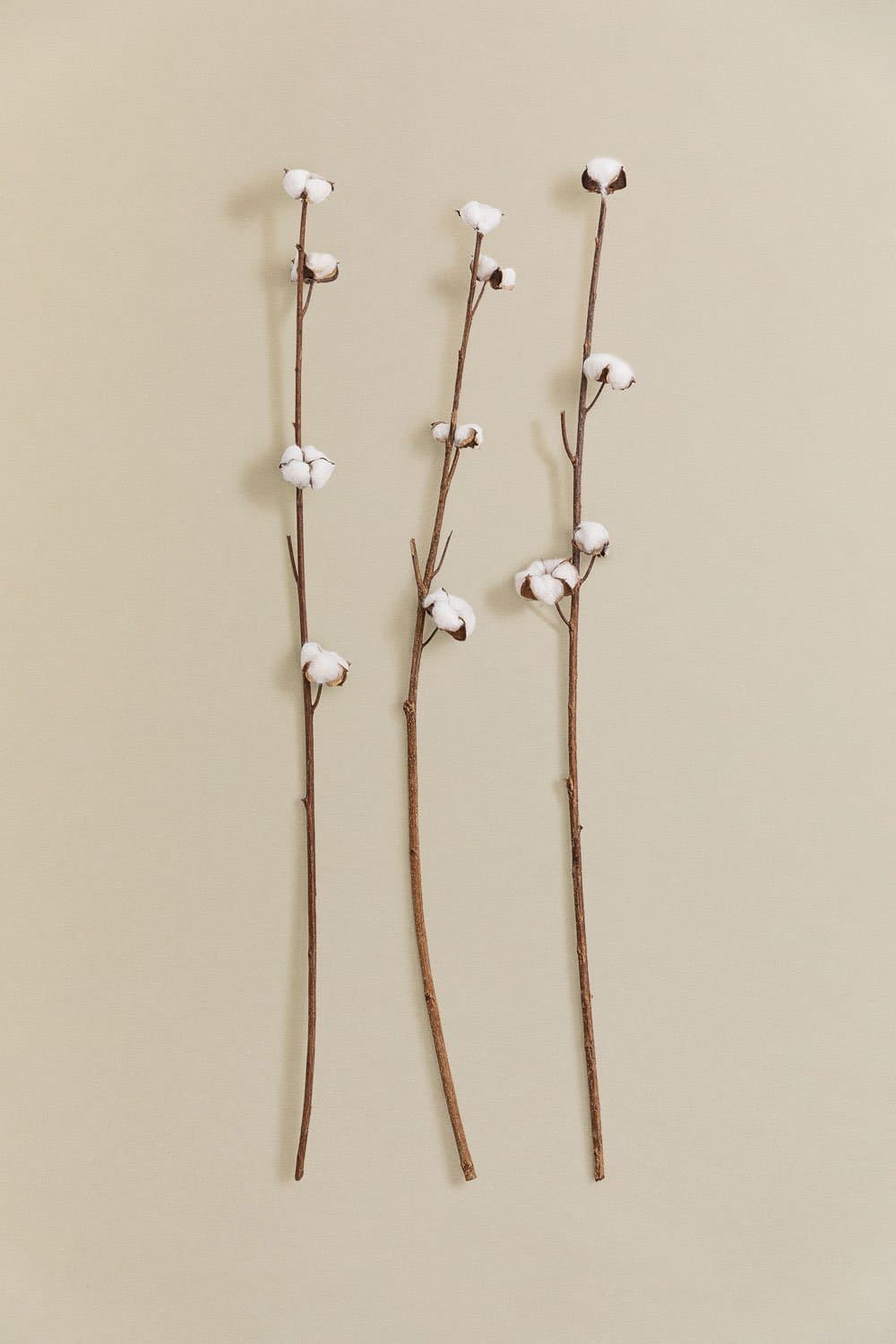 Set van 3 decoratieve droge takken Vedran , galerij beeld 1