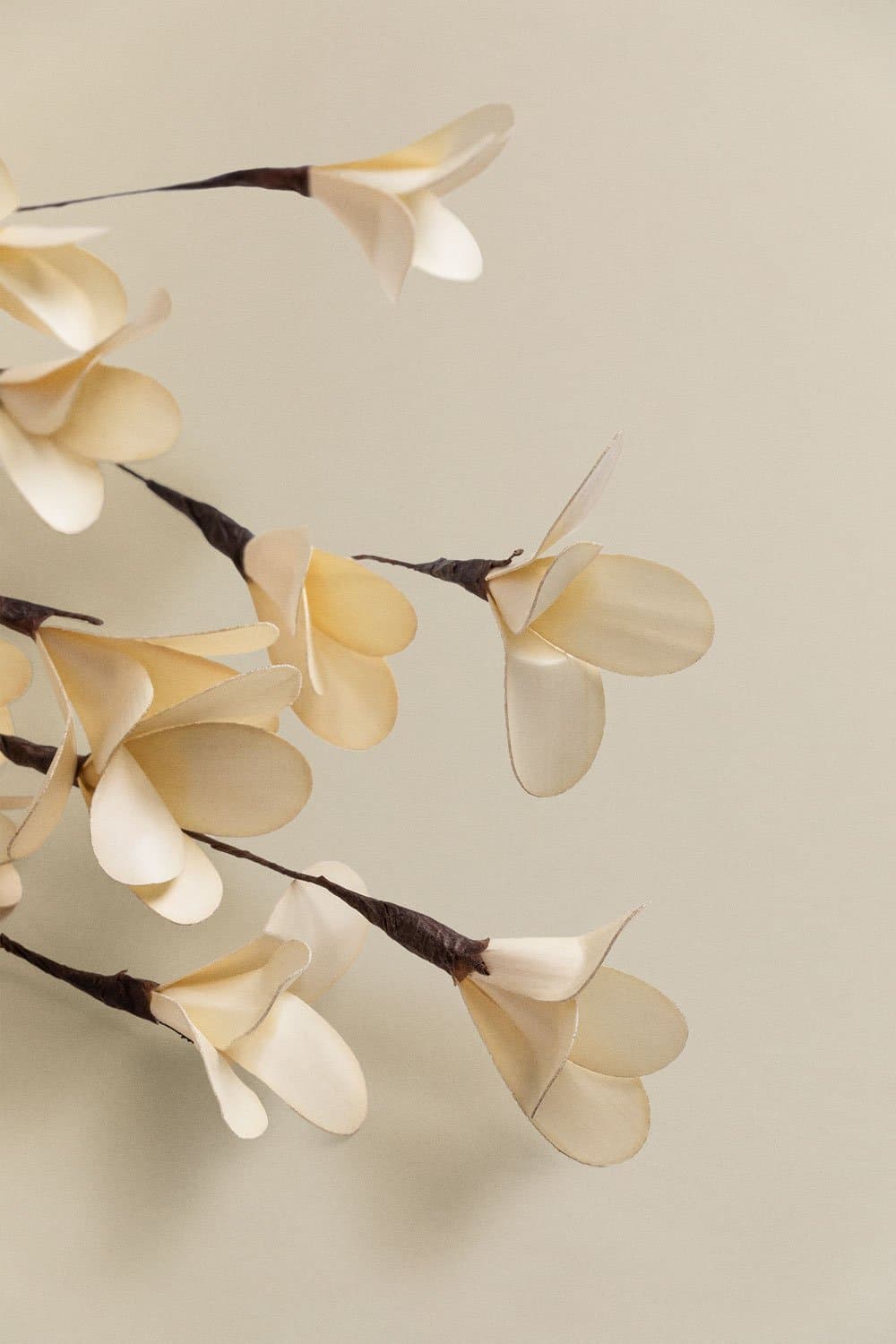 Verpakking van 4 decoratieve gedroogde takken van Iliyan, galerij beeld 4