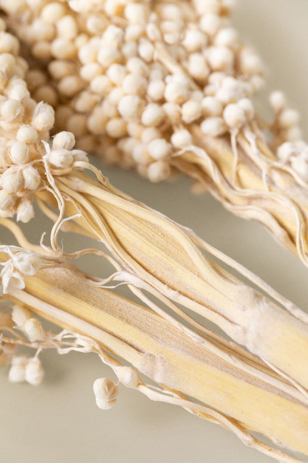 Verpakking van 3 Marbia decoratieve takken, galerij beeld 4