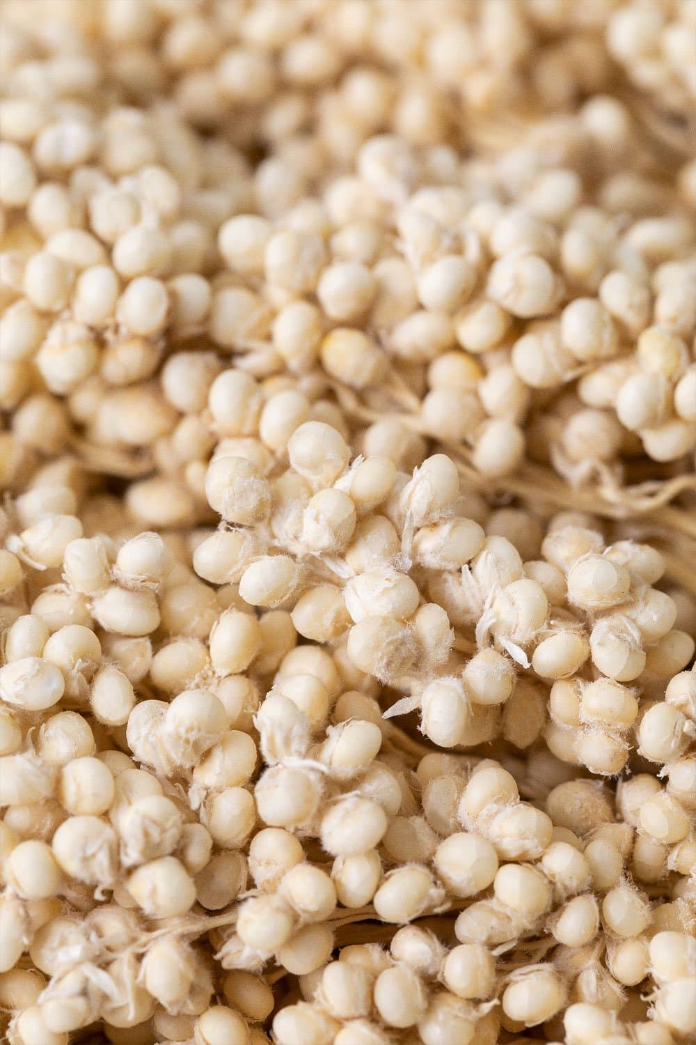 Verpakking van 3 Marbia decoratieve takken, galerij beeld 5