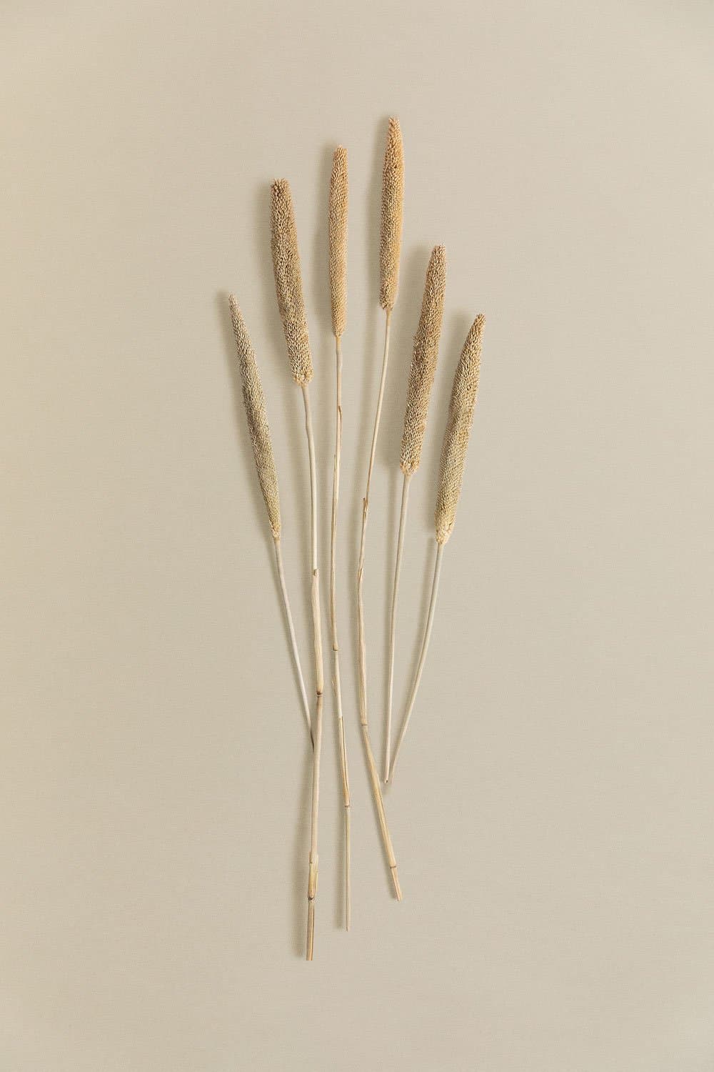 Decoratief Boeket Koty, galerij beeld 2