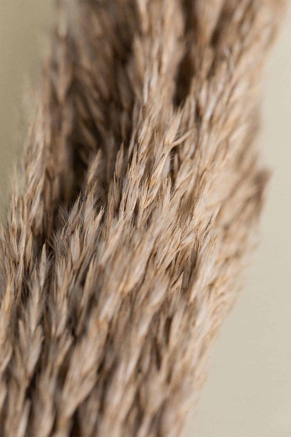 Verpakking van 4 Pampy decoratieve droge takken , galerij beeld 5