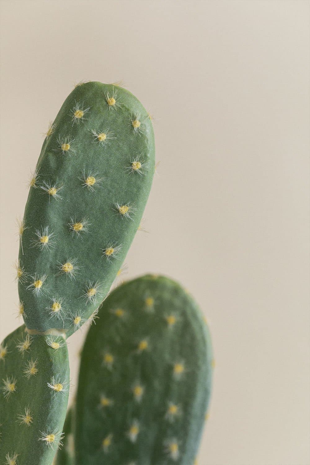 Cactus Kunst Opuntia 72 cm, galerij beeld 4