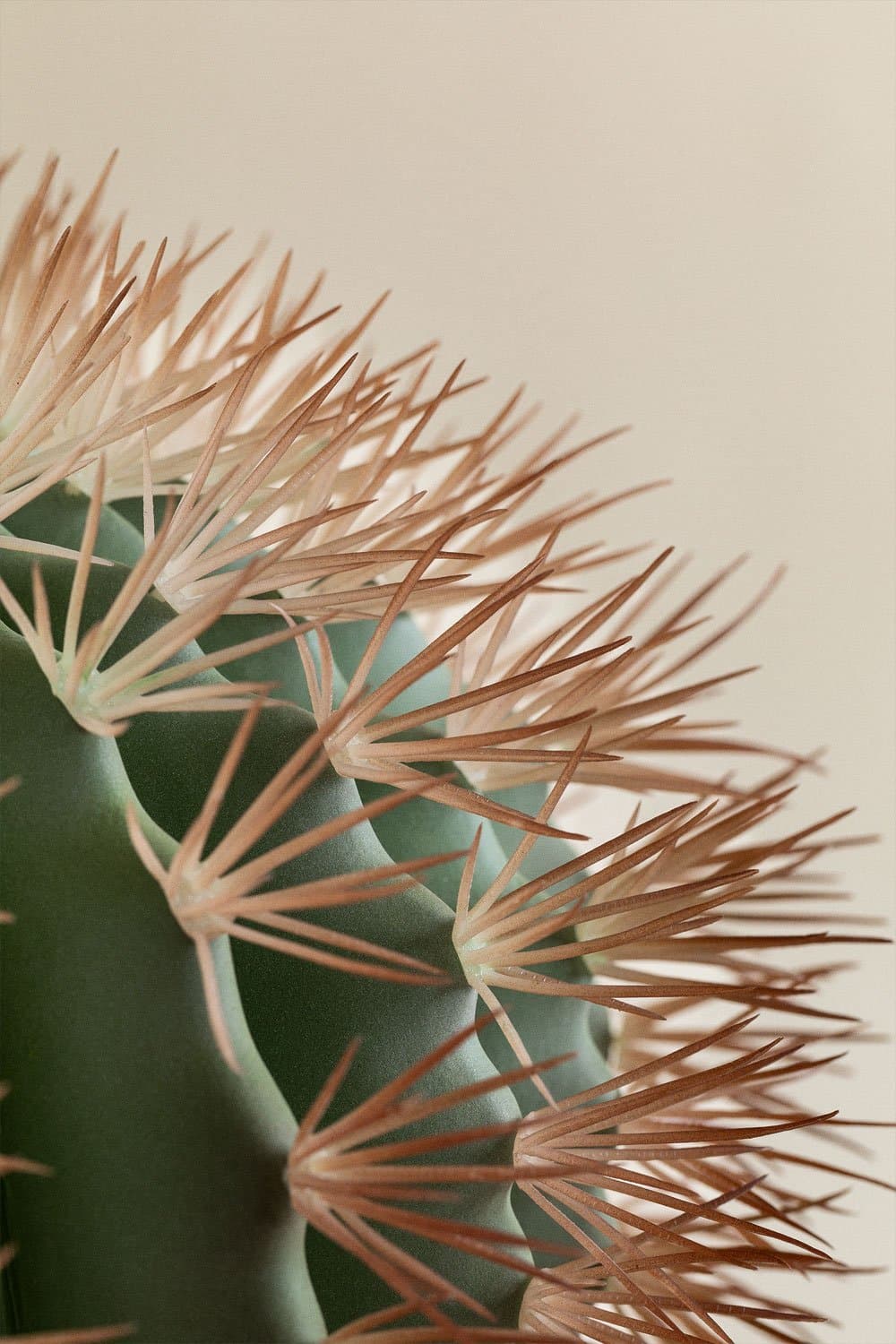 Ferocactus Kunstcactus, galerij beeld 3