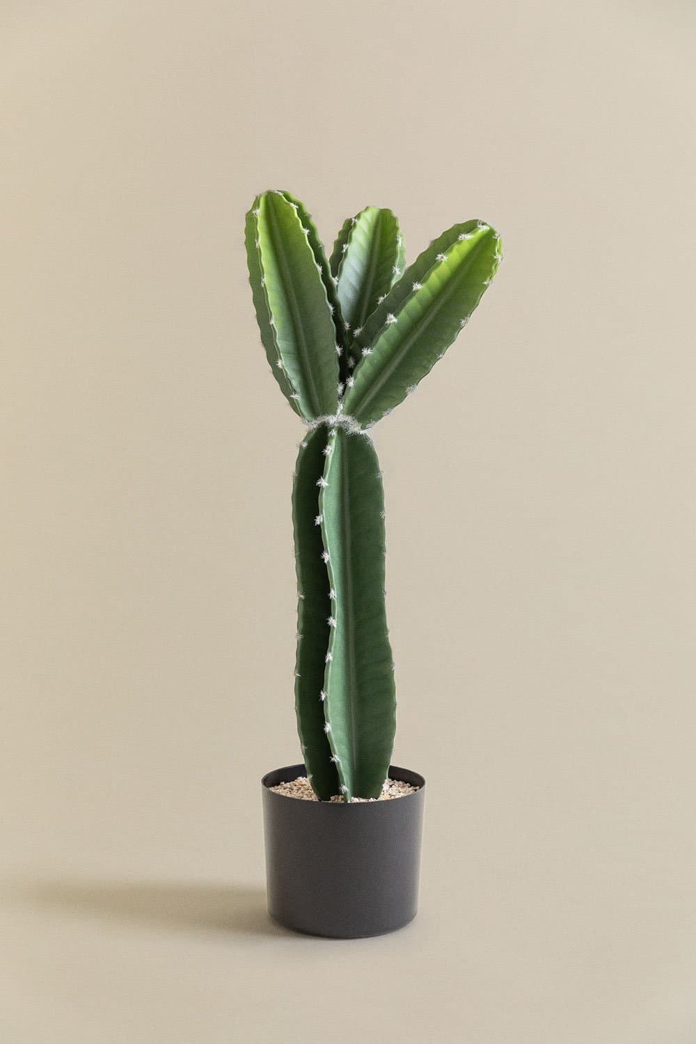 Cactus Kunst Cereus 66 cm, galerij beeld 3