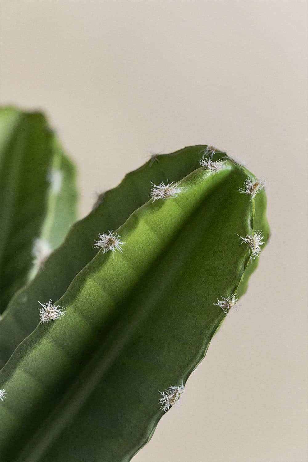 Cactus Kunst Cereus 66 cm, galerij beeld 4
