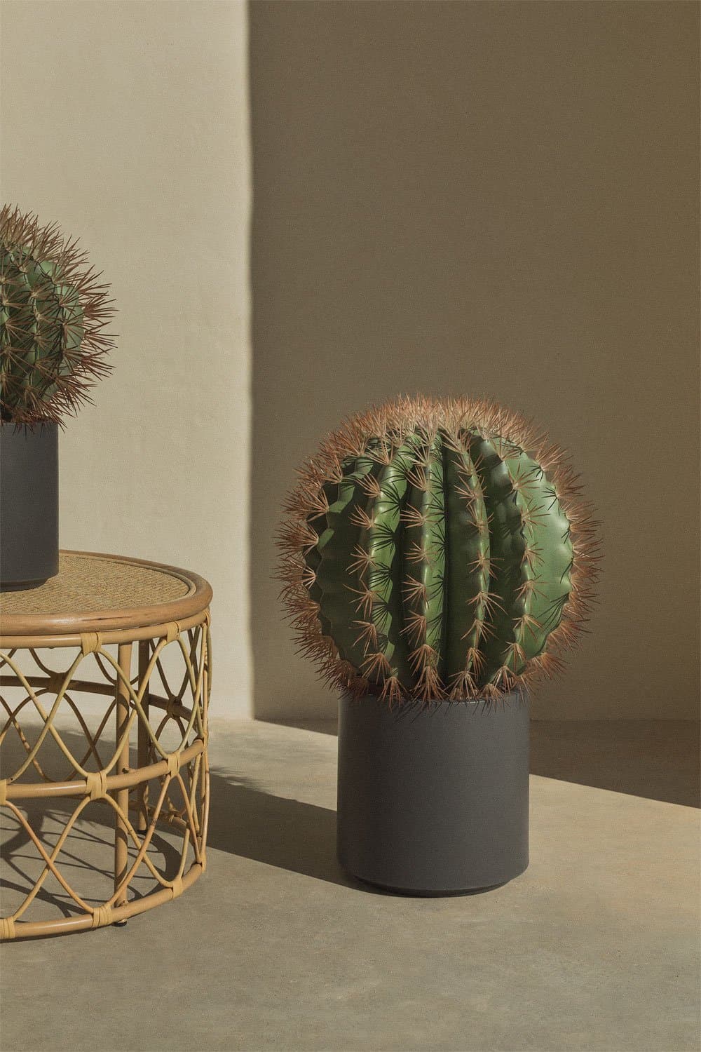 Ferocactus Kunstcactus, galerij beeld 1