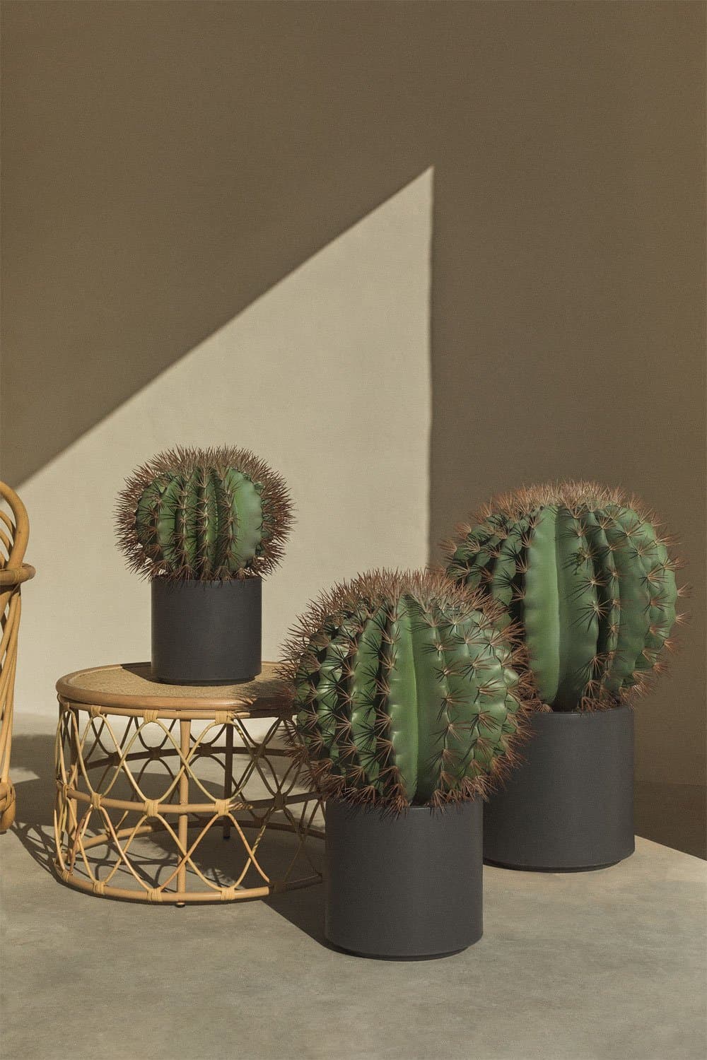 Ferocactus Kunstcactus, galerij beeld 5