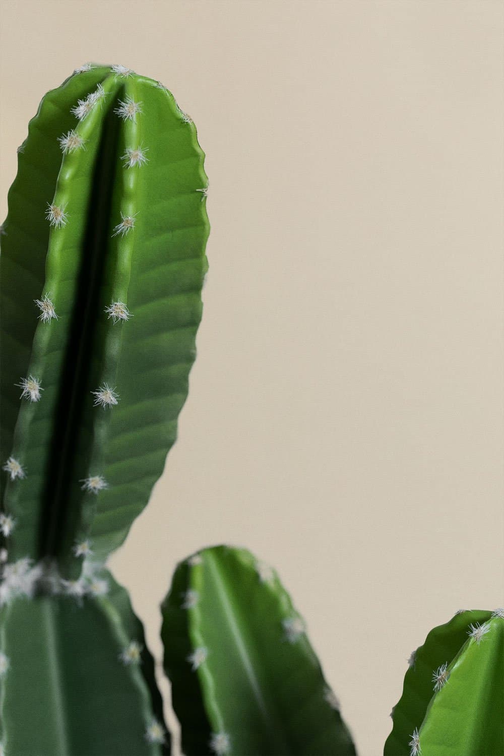 Cactus Kunst Cereus Design 86 cm, galerij beeld 3