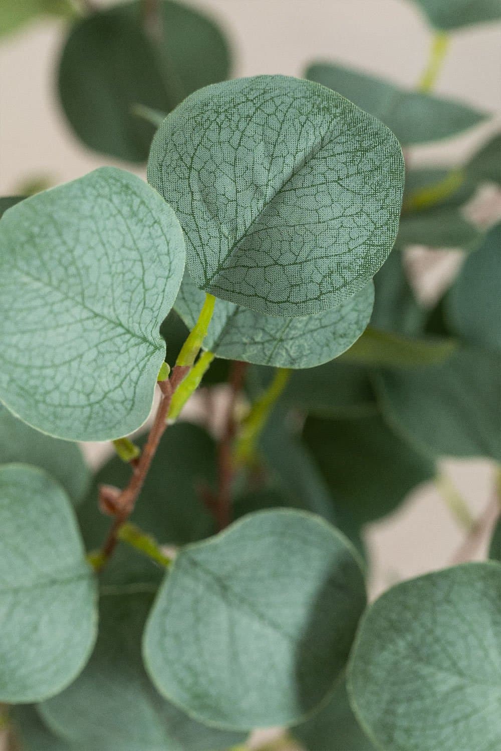Kunstplant Eucalyptus 130 cm, galerij beeld 5