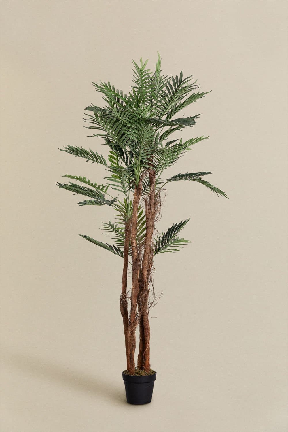 Kunstplant palmboom Design, galerij beeld 2