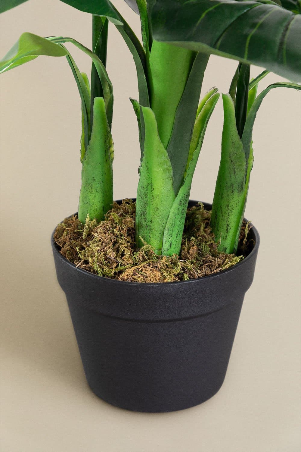 Decoratieve Kunstplant Paradijsvogel 150 cm, galerij beeld 4