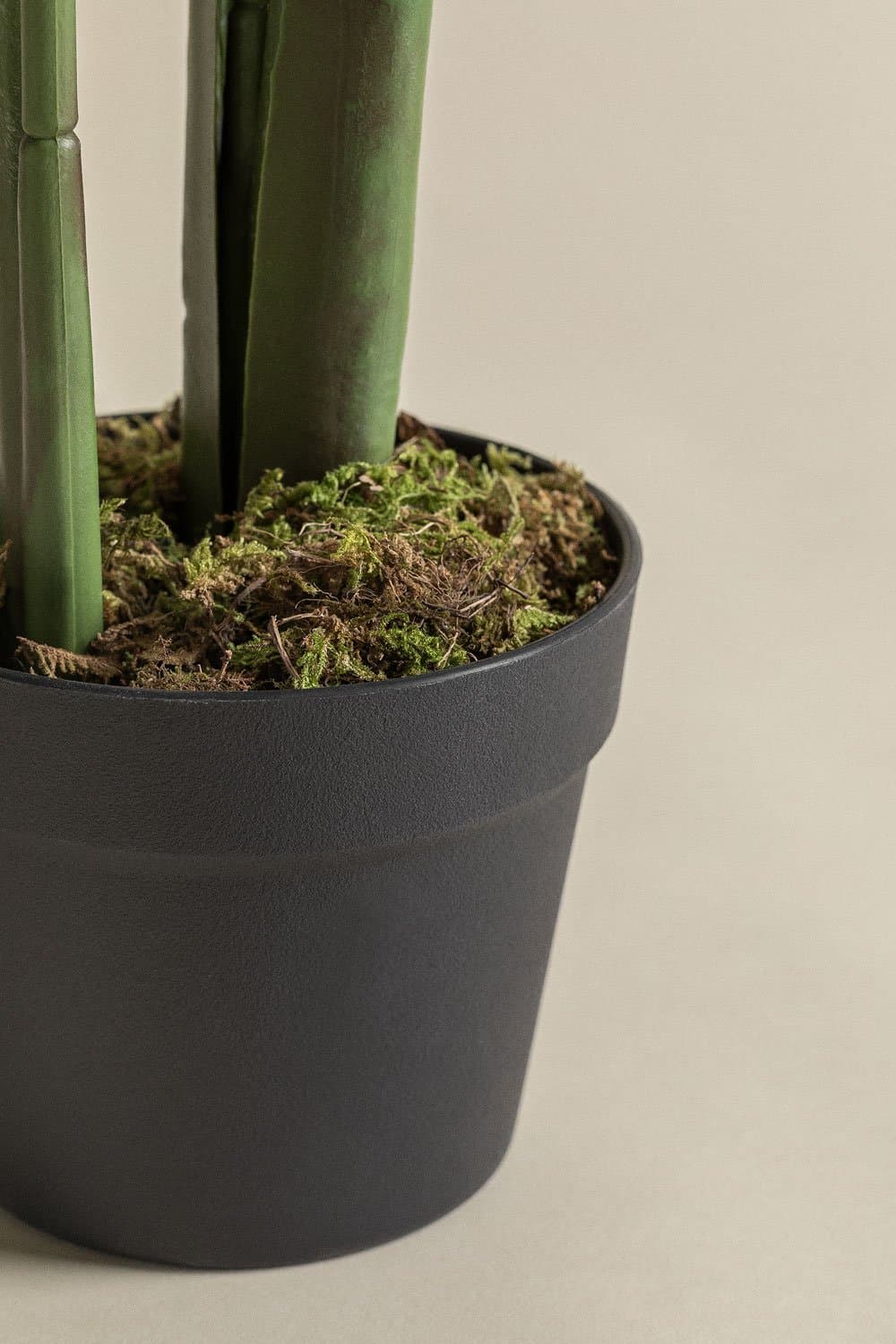 Strelitzia Decoratieve Kunstplant, galerij beeld 4