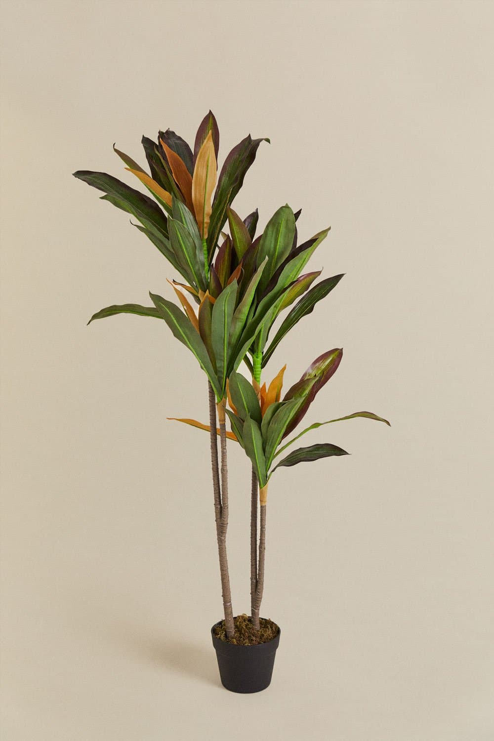 Dracaena decoratieve kunstplant, galerij beeld 2