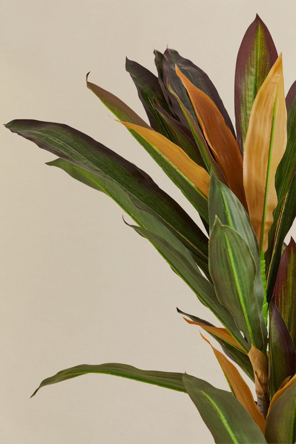 Dracaena decoratieve kunstplant, galerij beeld 3
