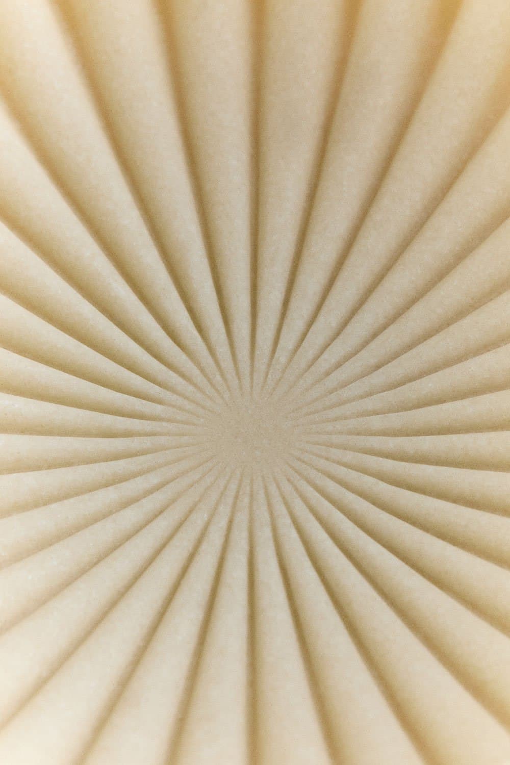 Decoratieve schaal in hars Ø20 cm Irente, galerij beeld 5