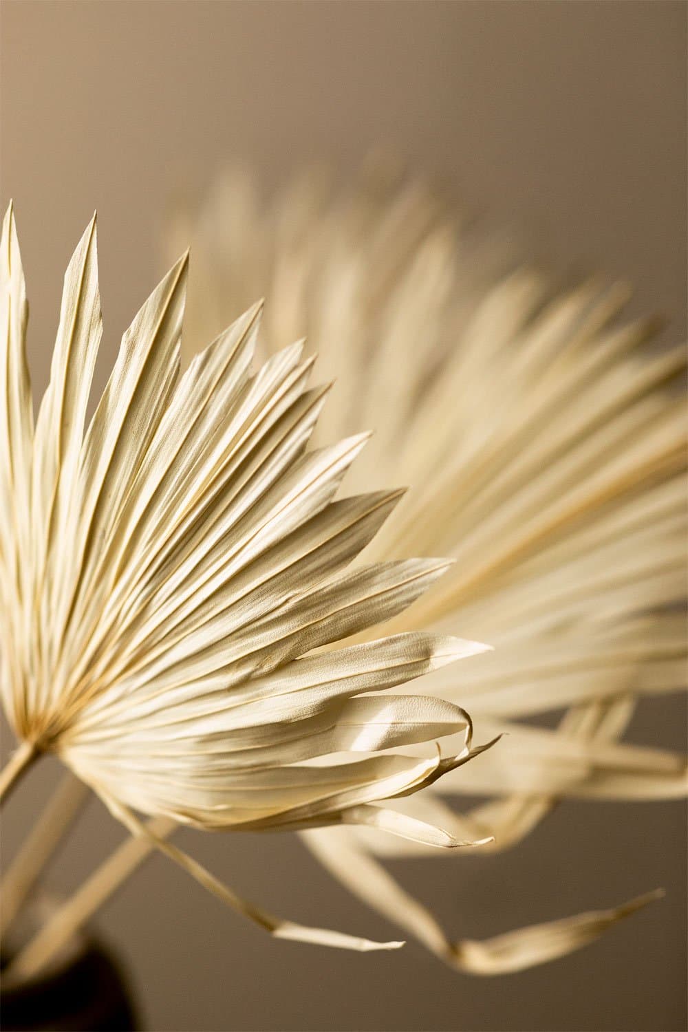 Verpakking van 4 Urpek decoratieve gedroogde takken , galerij beeld 2