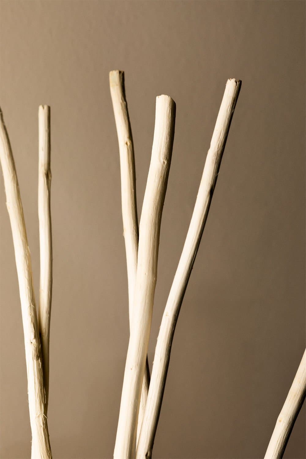 Verpakking van 8 decoratieve gedroogde takken Olitorius , galerij beeld 2